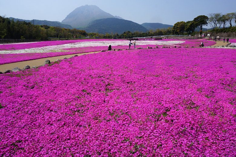 28　１０秒見つめると他の色が変に見える.JPG