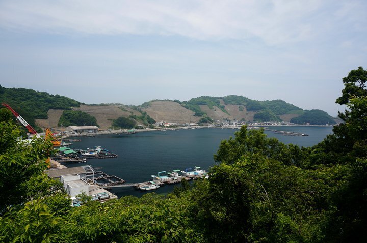 29　この岬だけ特に凄い.JPG