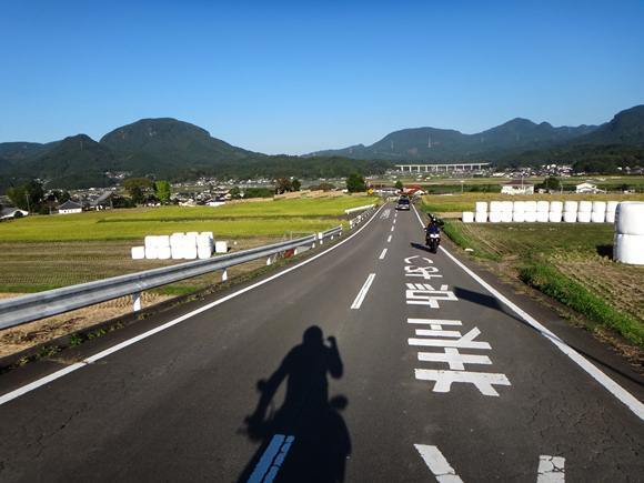 29　山に先導中.JPG