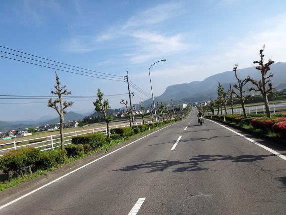 29　後ろの山は伐株山.JPG
