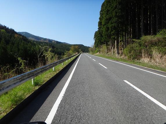 2　緑の中に入ります.JPG