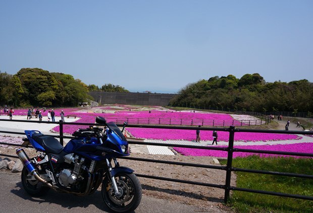 30　こんな感じの場所でした.JPG