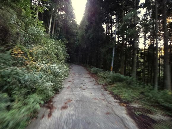 30　もう慣れてしまった道.JPG