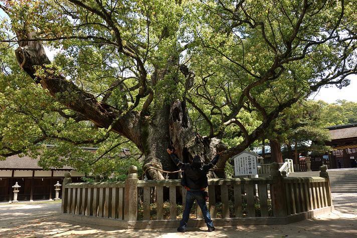 30　乎知命御手植の巨木パワーゲット.JPG