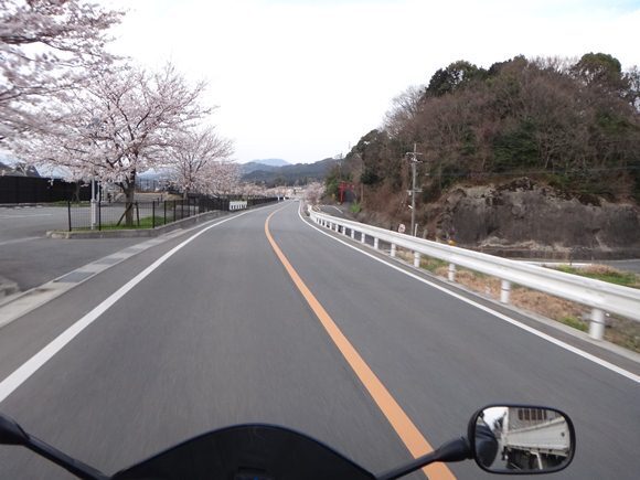 30　最後まで桜並木.JPG