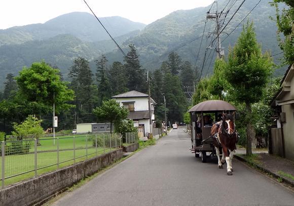 30　由布院の街の中.JPG