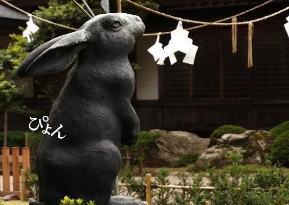 31　やっぱりいましたウサギさん.JPG