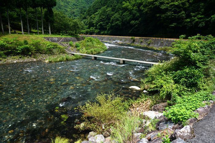 32　水が綺麗なんです.JPG