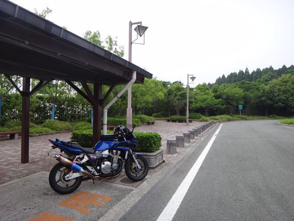 33　シトリになりました.JPG