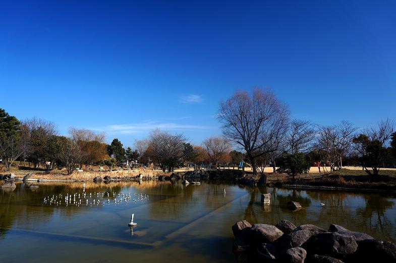 33　綺麗な公園です.JPG