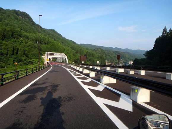 34　近道でカエル.JPG