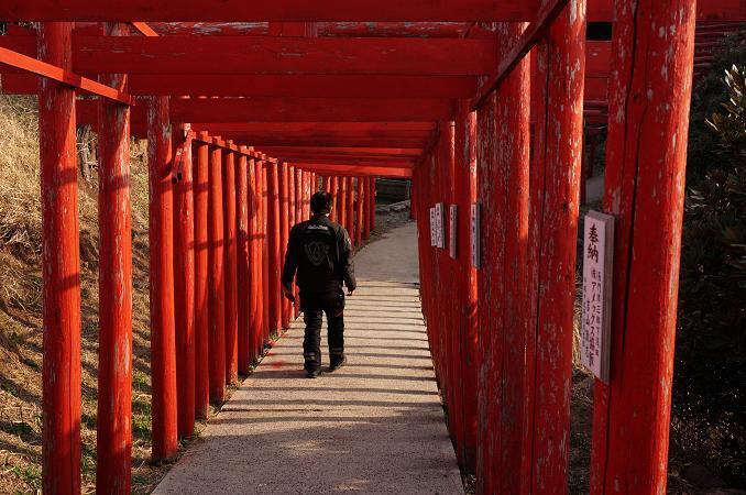 36　鳥居のトンネルの先は激坂.JPG