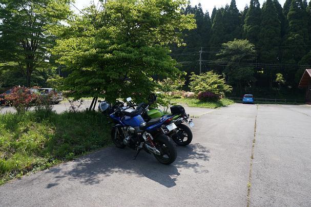 37　日陰の山分け.JPG
