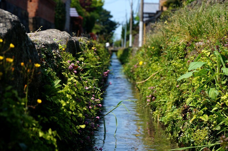 37　湧水が流れます.JPG