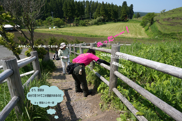 39　自分で見つけてこそ愛着がわくのである.jpg