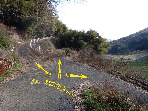 3　林道あるある.jpg