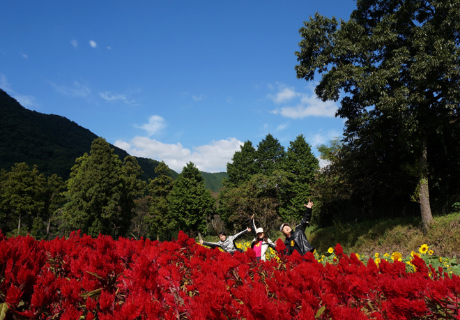 3　花畑で一発目の集合.jpg