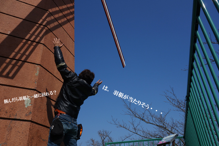 42　低すぎる羽根.jpg