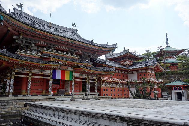 42　無くなった母の菩提寺だそうです.JPG
