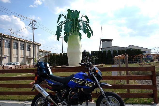 46　大根おろしの風呂が作れるぜ.JPG