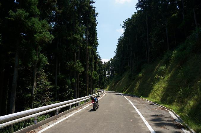 4　大きな規模の林道です.JPG