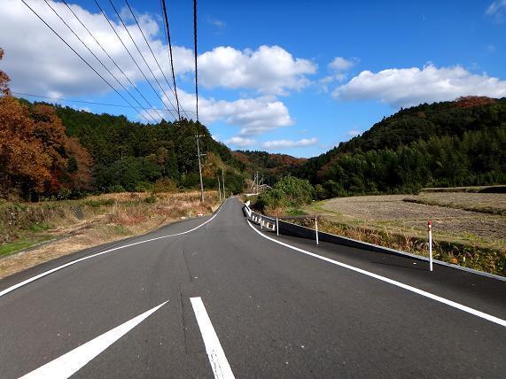 4　田舎の道はすぐに狭くなる.JPG