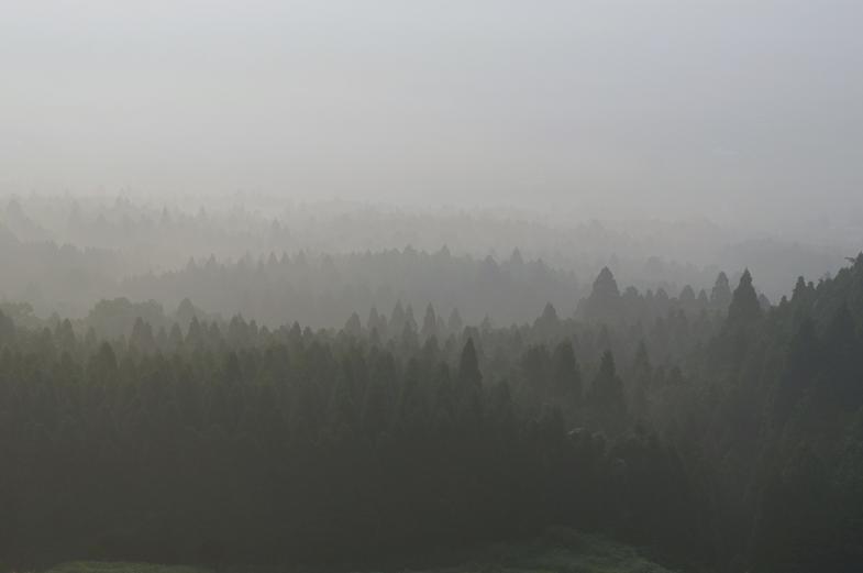 5　しっとりとした空気に包まれています.JPG