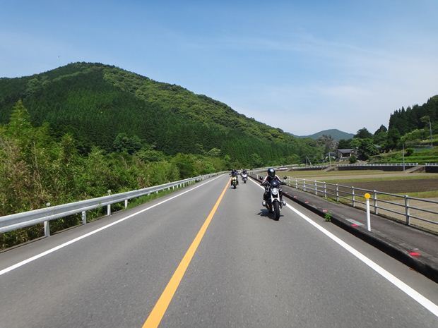 5　深緑が綺麗.JPG