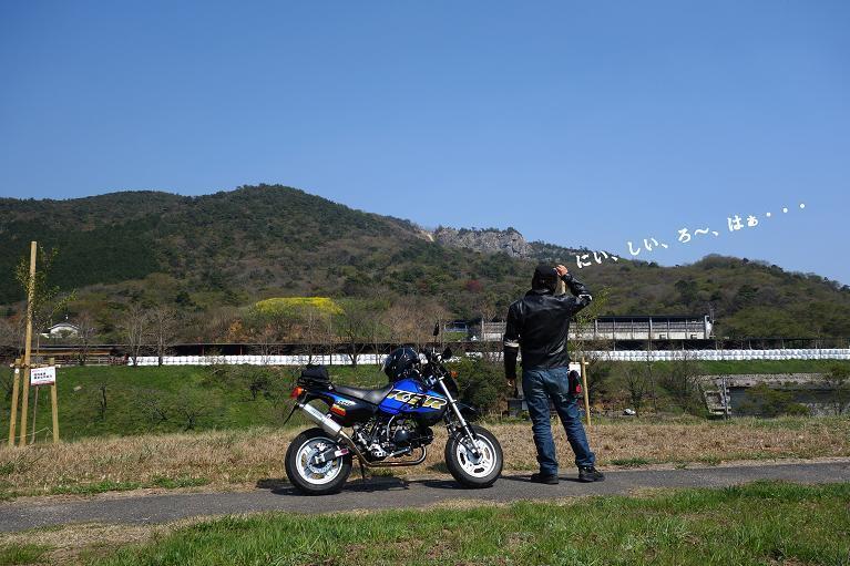 5　白い奴を数えてみよう.JPG