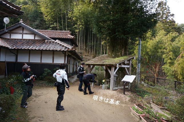 5　神聖な場所にたむろする方たち.JPG