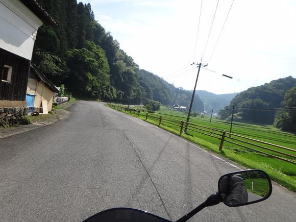 6　のどかな道になった.JPG