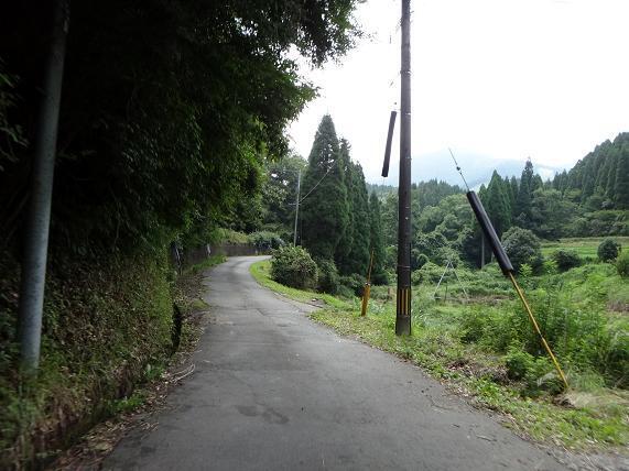 6　山道へ.JPG