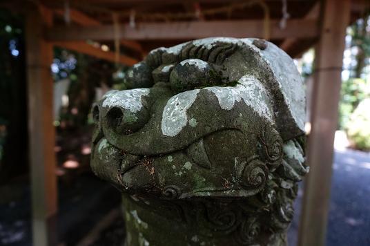 6　目玉クリクリの狛犬.JPG