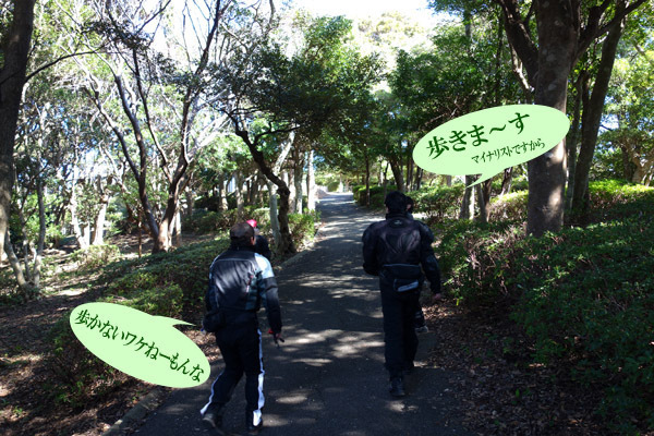 6　遊歩道を歩きます.jpg