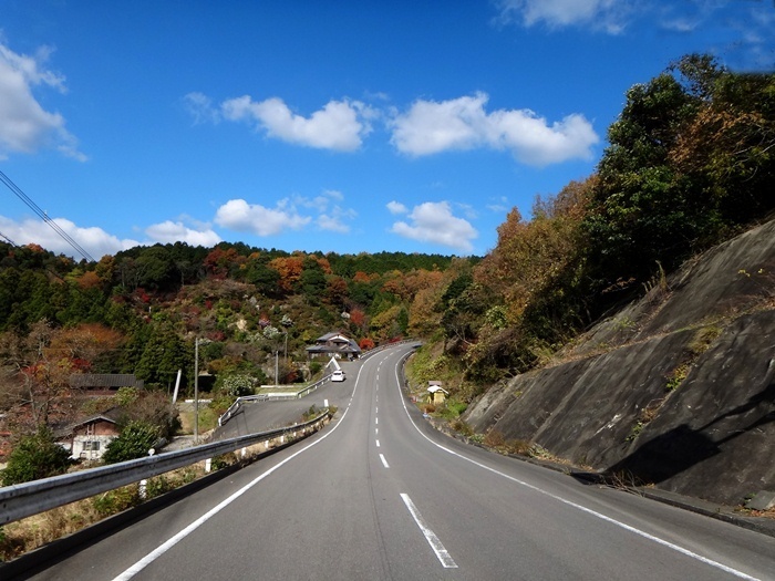 6　道のりだけで紅葉はおなかいっぱい.JPG