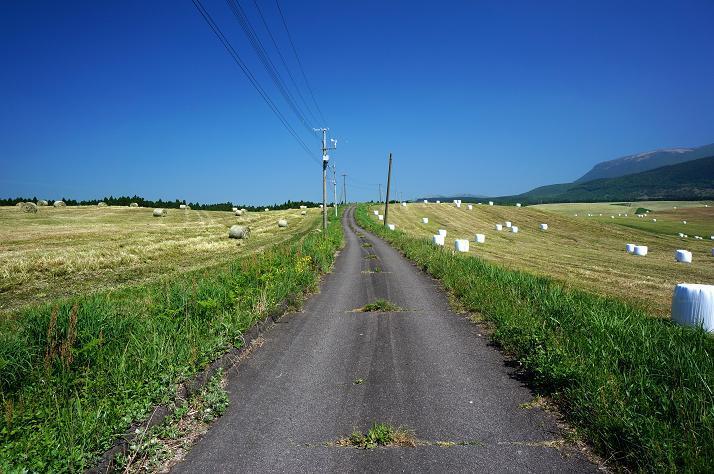 7　お気に入りの道になりました.JPG