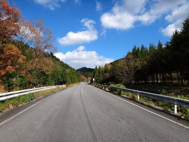 7　国東の道って大好き.JPG