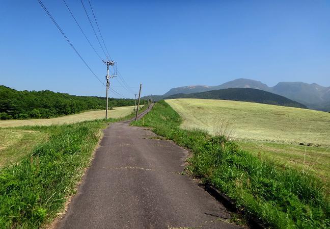 7　干草のにおいがいっぱい.JPG