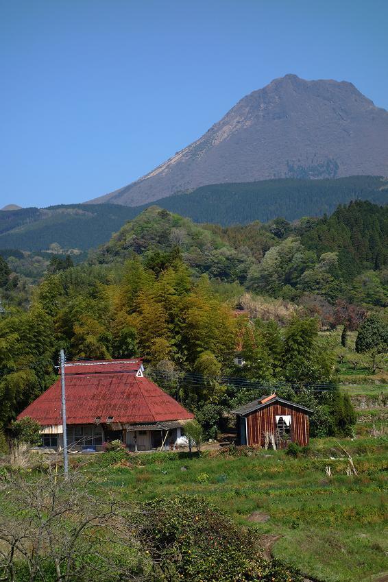 7　由布岳が見える素敵な村.JPG