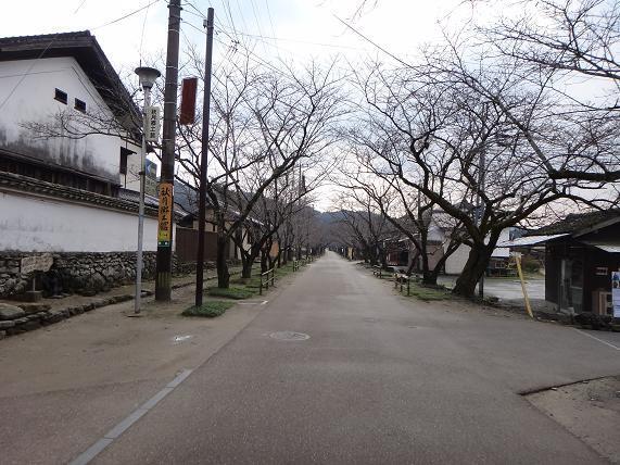 7　秋と桜の時期だと人でウジャウジャ.JPG