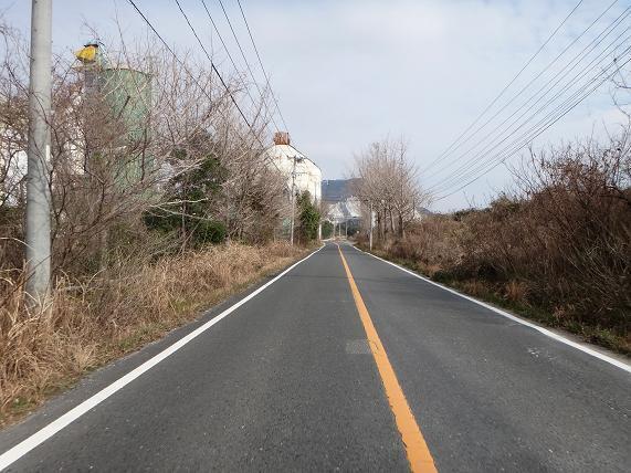 8　セメントの道.JPG