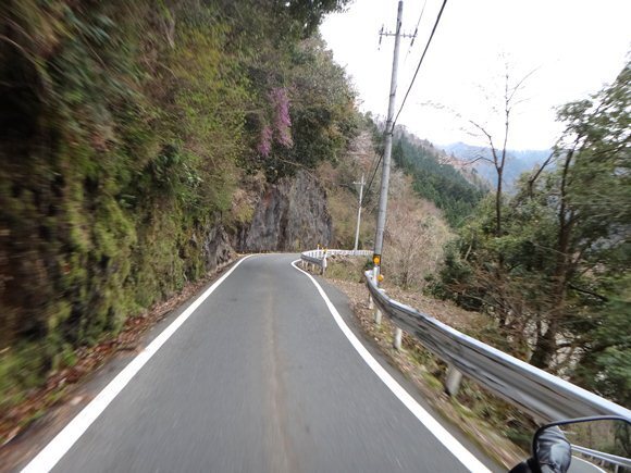 8　一回はこんな道を走らないとね.JPG