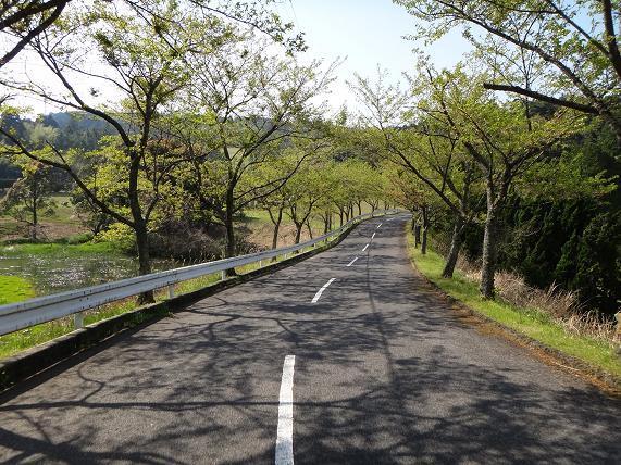 8　桜の時期に来てみよう.JPG