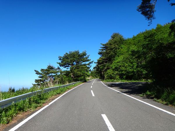9　カルストまでの林道.JPG