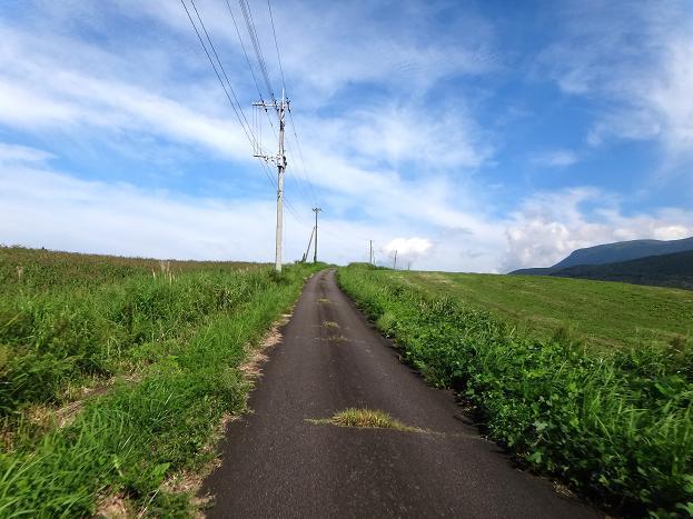 9　バッタを踏みそうな道.JPG