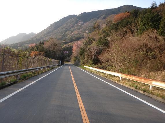大坂山の峠.JPG