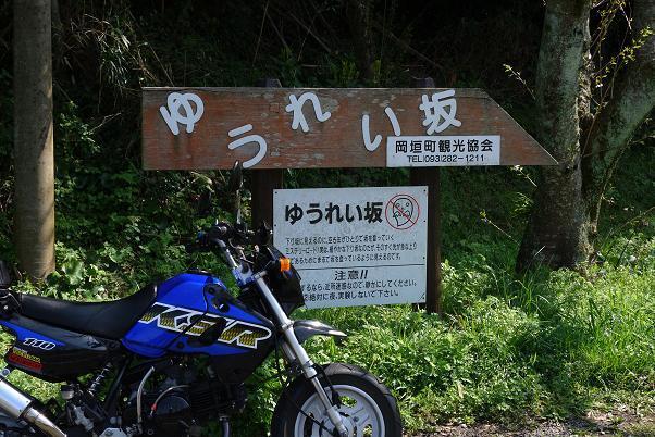 桜は散ってました.JPG
