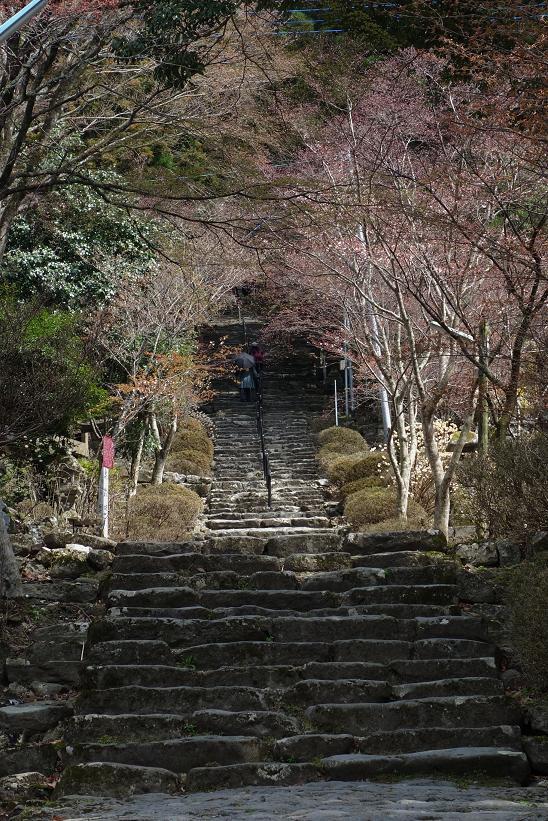 英彦山神社の心臓破りの階段.JPG