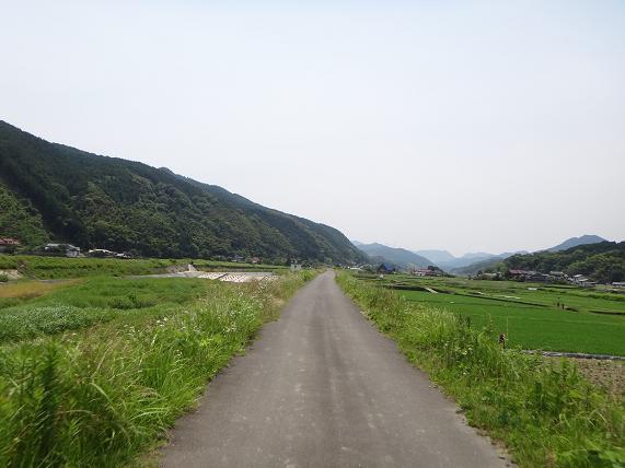 １　英彦山川の土手.JPG