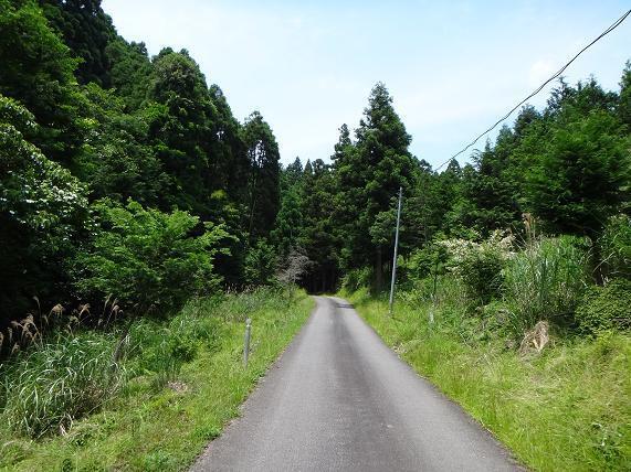 １１　ちびっ子バイクには丁度良い.JPG